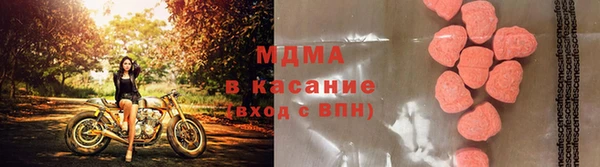 стаф Арсеньев