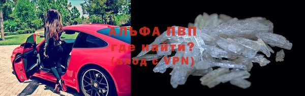 стаф Арсеньев