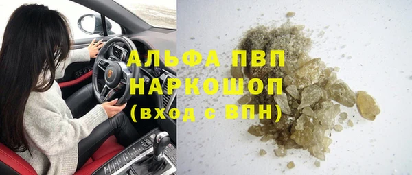 стаф Арсеньев