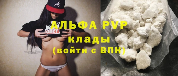 стаф Арсеньев