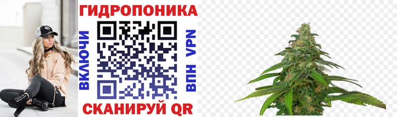 Купить закладки  Тавда  Бошки марихуана MAZAR 
